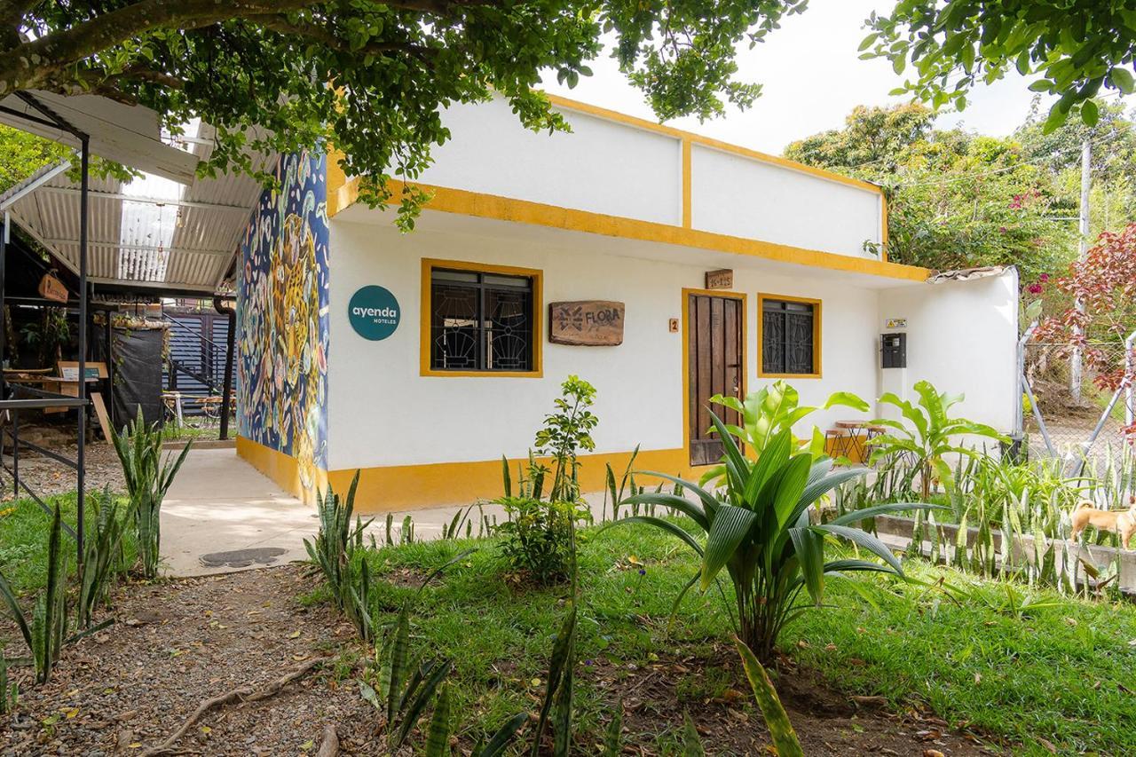 Ayenda Flora Jaguar Bed & Breakfast Ibagué Екстериор снимка